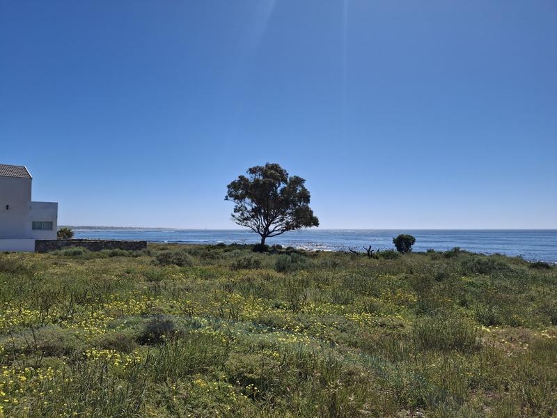 0 Bedroom Property for Sale in Sandy Point Western Cape